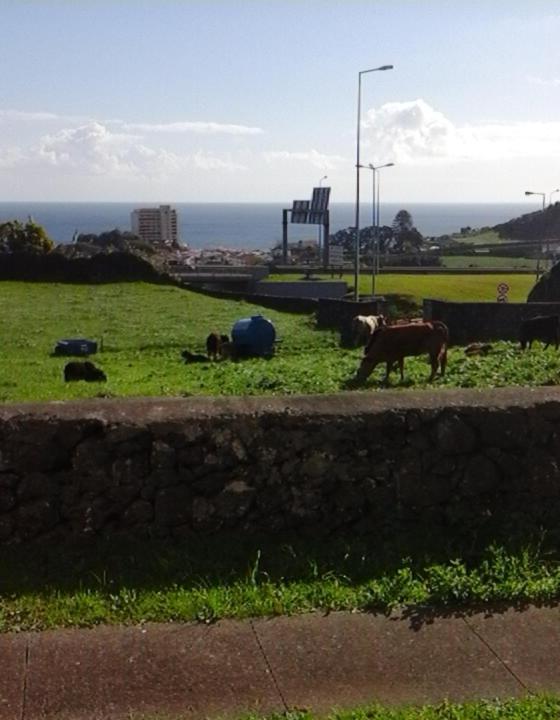 דירות Ponta Delgada Ocean View Flat מראה חיצוני תמונה